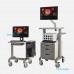 OPAL HDx Mapping System